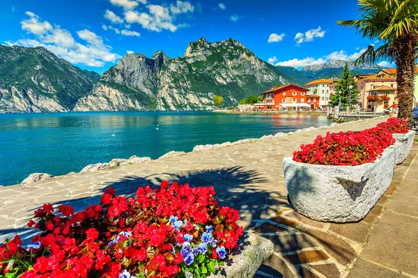 depositphotos_67034431-stock-photo-red-flowers-and-promenadelake-gardanorthern